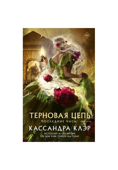 Последние часы. Книга III. Терновая цепь