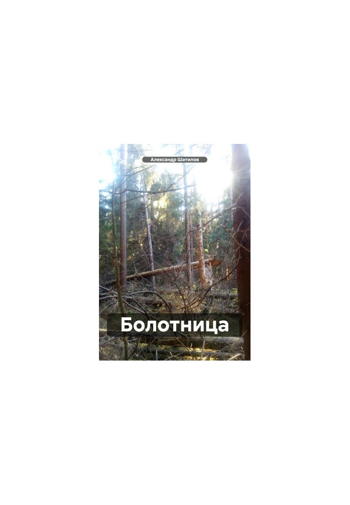 Bolotnitsa