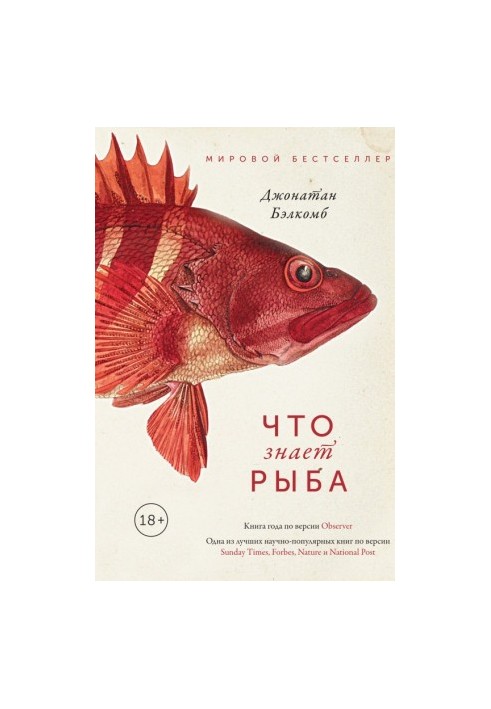Что знает рыба