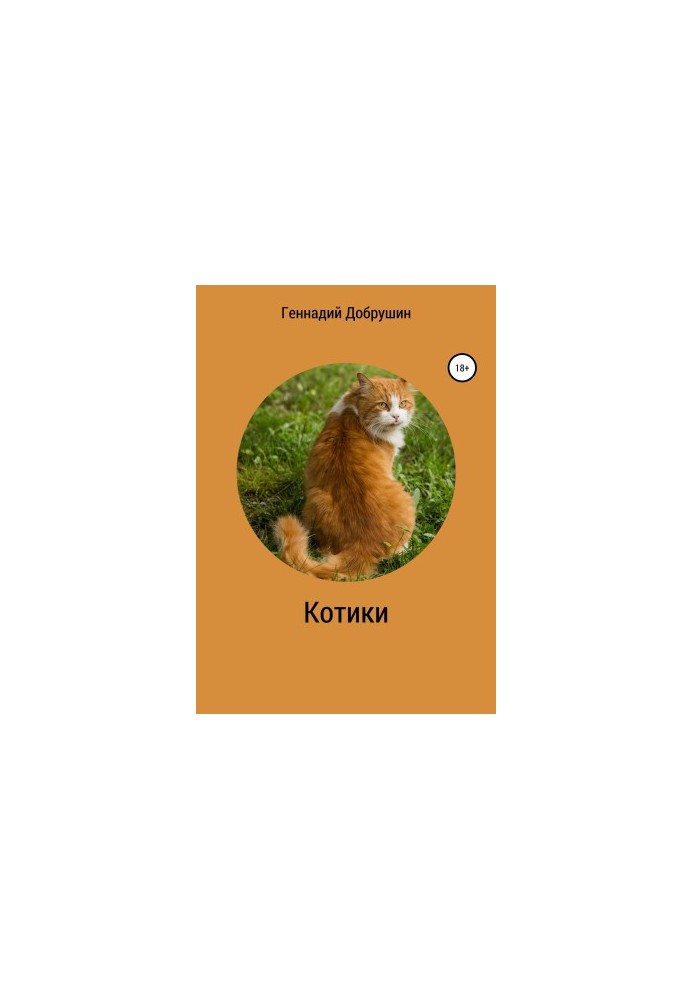 Котики