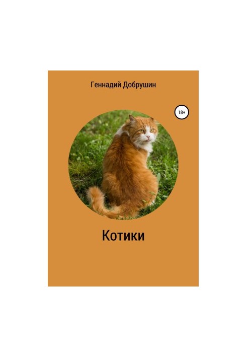 Котики