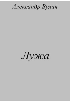 Лужа