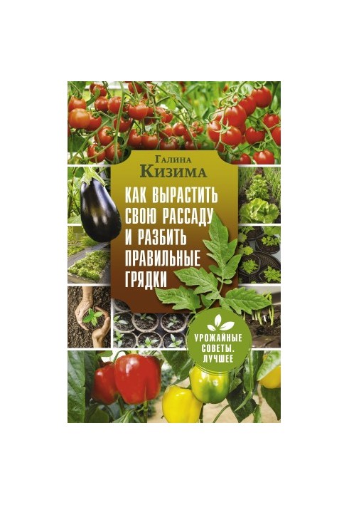 Как вырастить свою рассаду и разбить правильные грядки