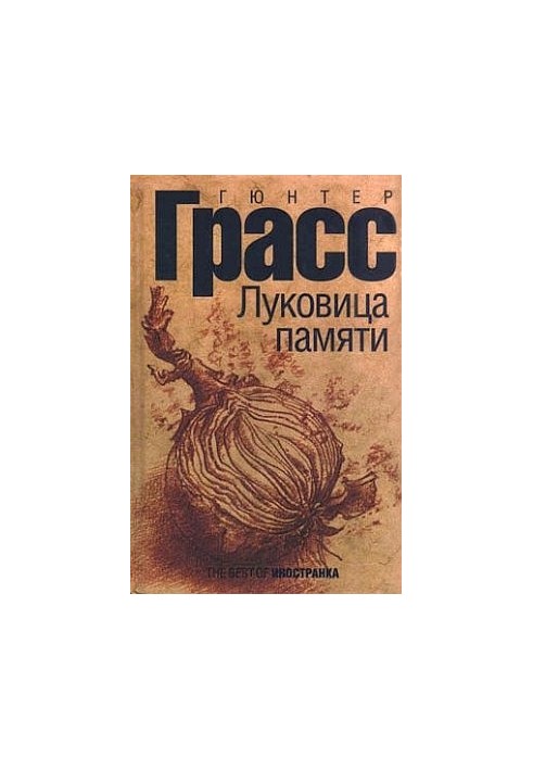 Цибулина пам'яті