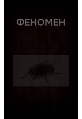 Феномен