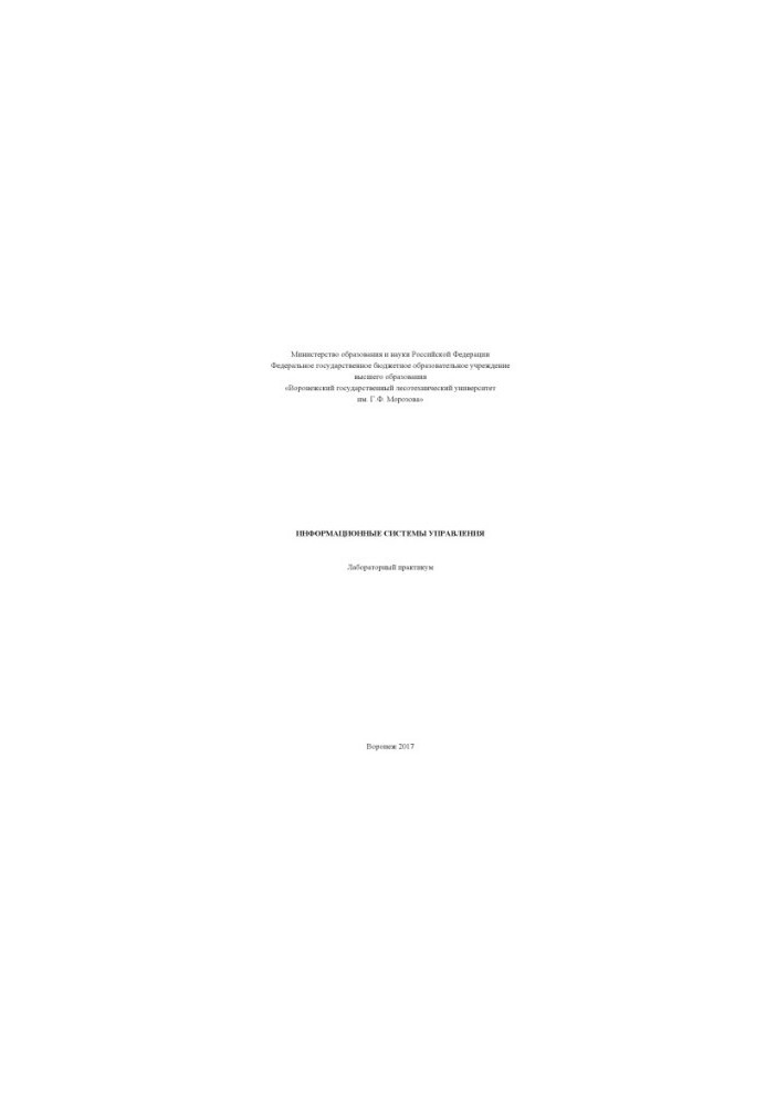 Management information systems