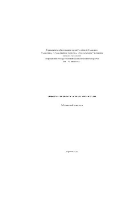Management information systems