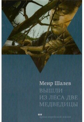Вийшли з лісу дві ведмедиці