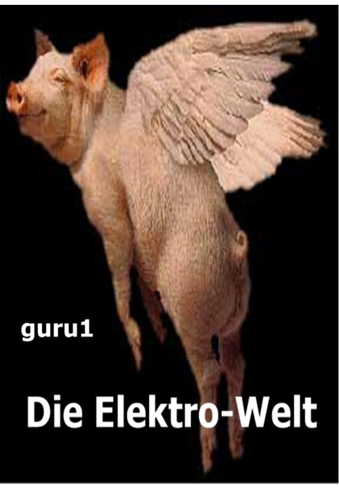 Die Elektro-Welt