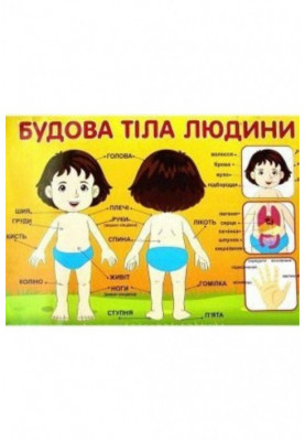 Плакат.Будова тіла людини