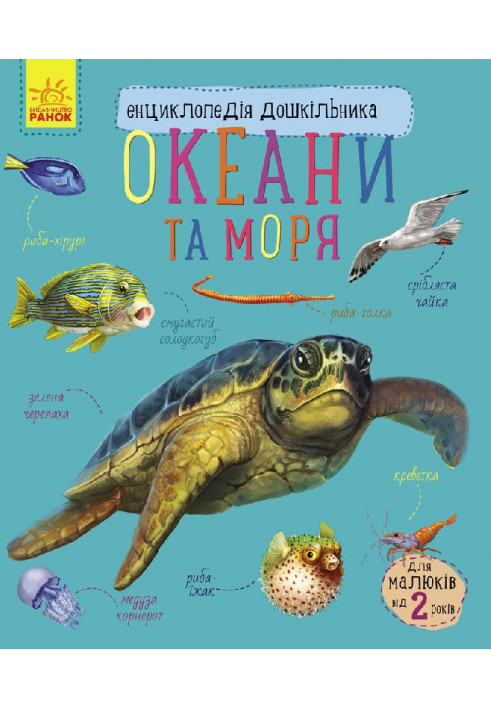 Океани та моря