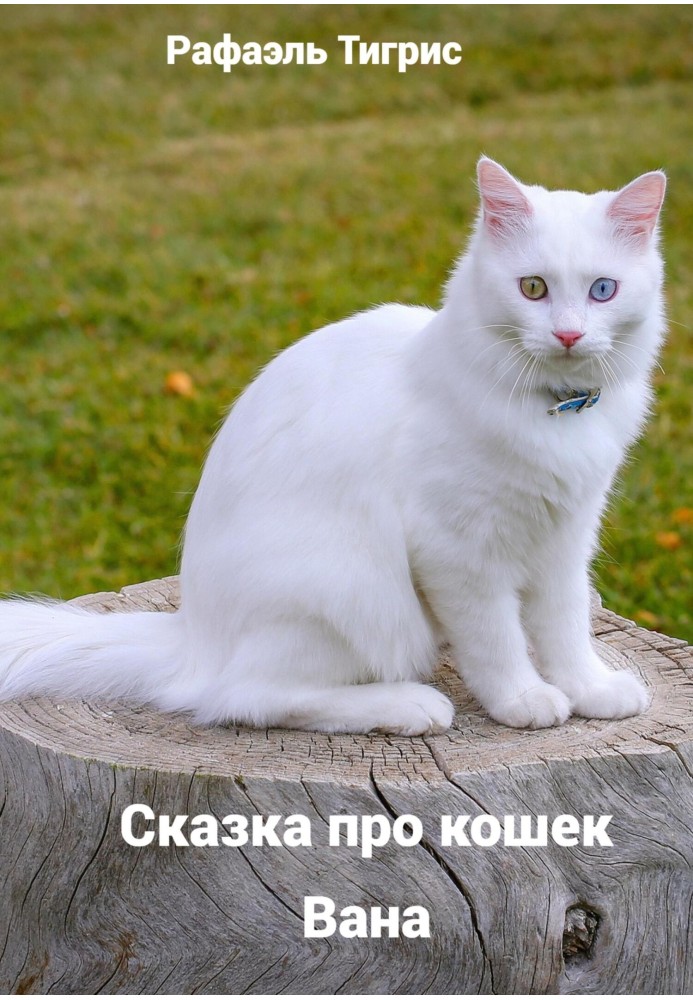 Казка про котів Вана