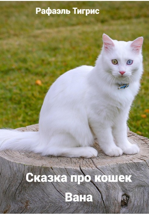 Казка про котів Вана