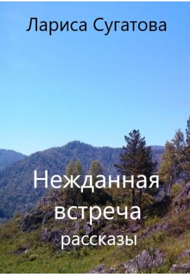 Несподівана зустріч