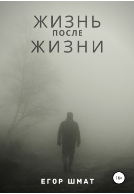 Life after Life