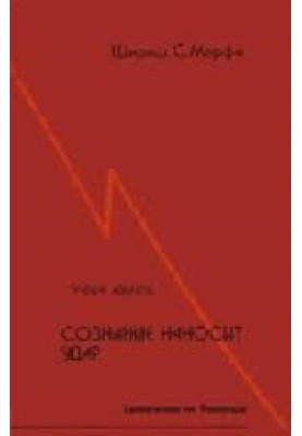 Сознание наносит удар. Евангелие от Рамеша