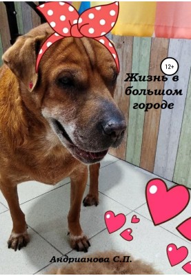 Жизнь в большом городе