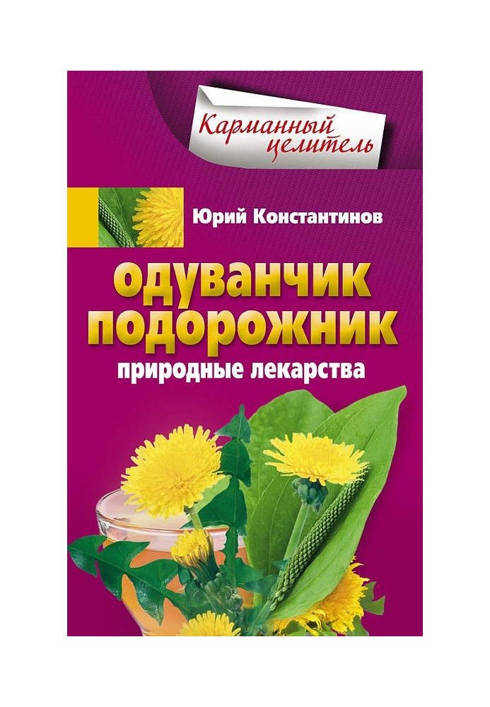 Кульбаба, подорожник. Природні ліки