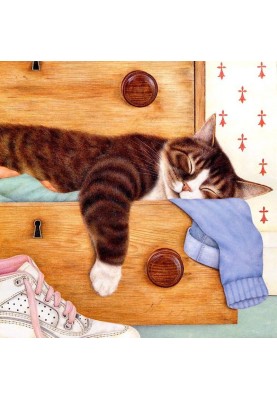 Midsummer Night's Dreams, or Incredible Visions of Archimedes the Cat
