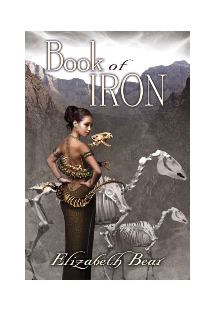 Book of Iron