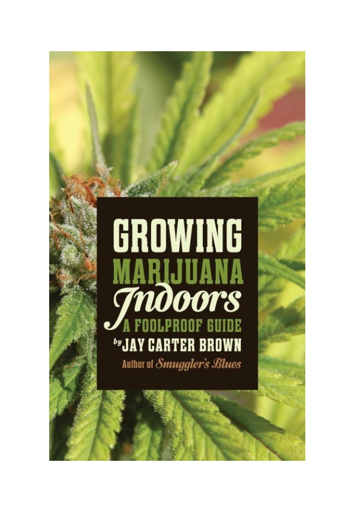 Growing Marijuana Indoors: A Foolproof Guide