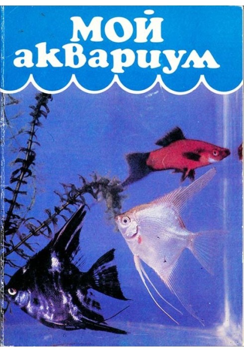 Мой аквариум