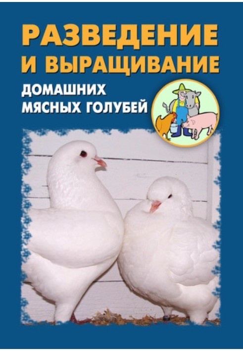 Breeding and raising domestic meat pigeons