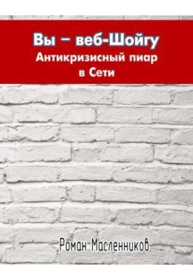 Вы – веб-Шойгу. Антикризисный пиар в Сети
