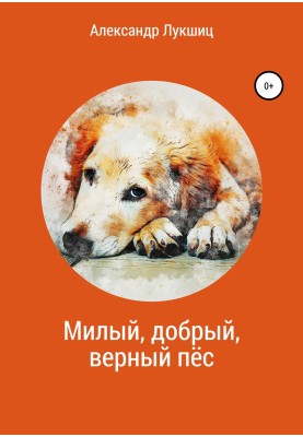 Sweet, kind, faithful dog