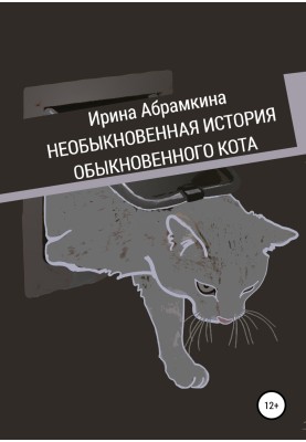 The extraordinary story of an ordinary cat