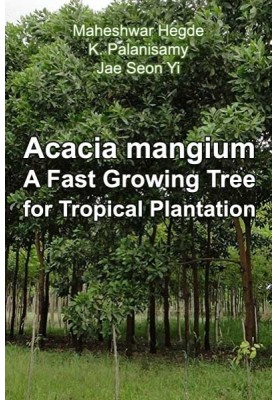 Acacia mangium Willd. - Швидкоростуче дерево для тропічної плантації