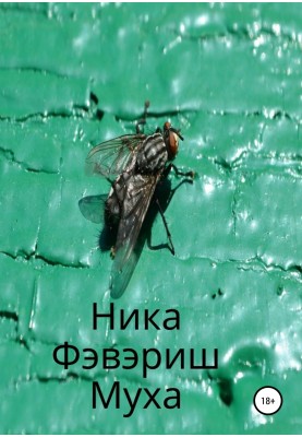 Fly