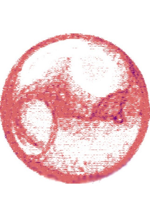 13th labor of Hercules
