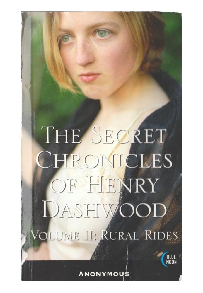 The Secret Chronicles of Henry Dashwood, Vol. 2