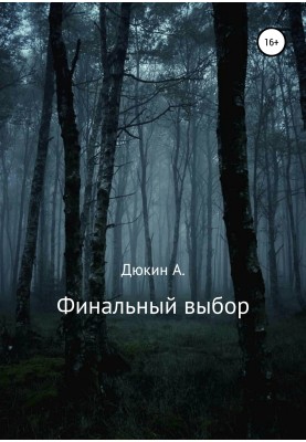 Final choice