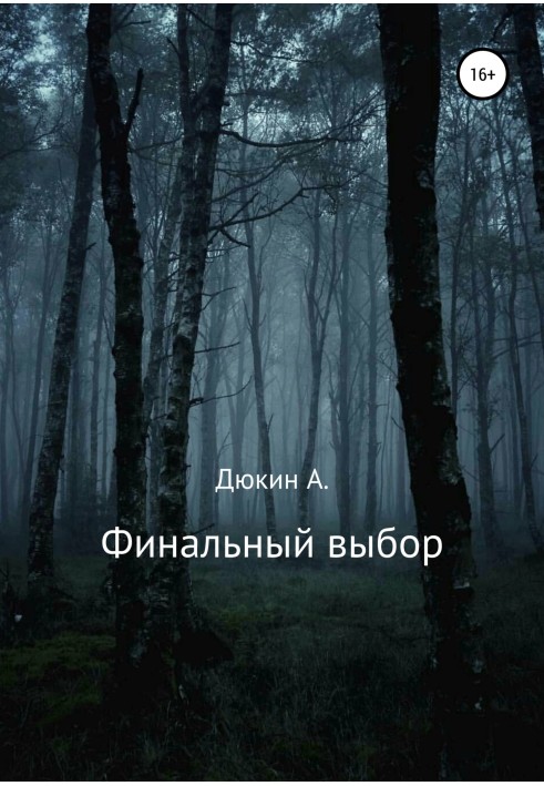 Final choice