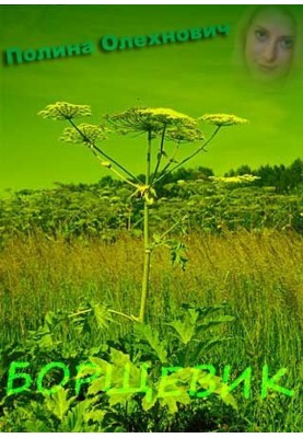 Hogweed. No mercy, no pity