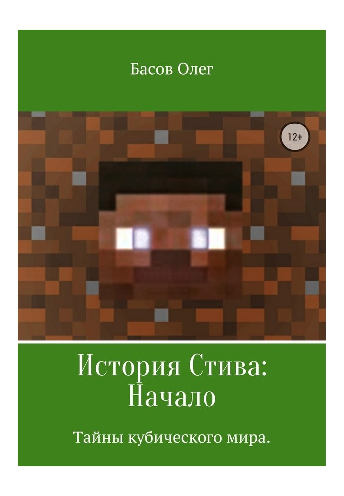 Steve's Story: The Beginning