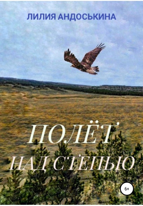 Flight over the steppe