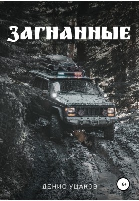 Загнані