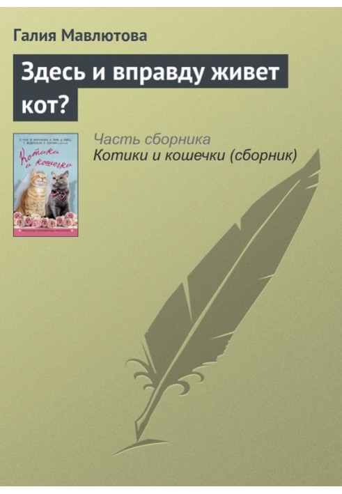 Здесь и вправду живет кот?