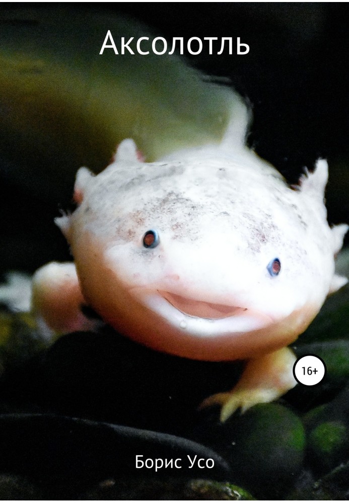 Axolotl