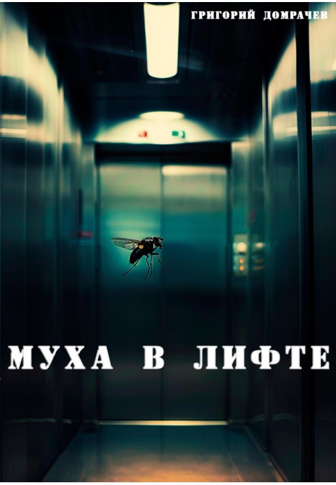 Муха у ліфті