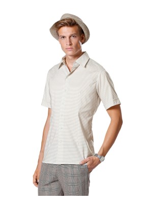 Pattern Short-sleeved fitted shirt (Burda 1/2014, pattern no. 6931 B)