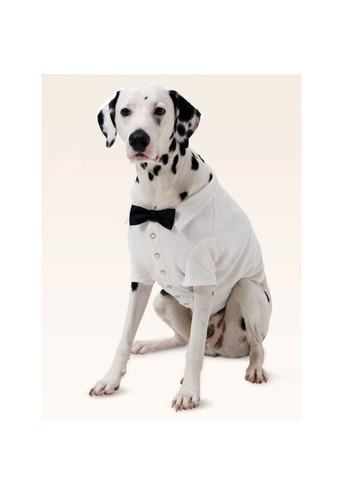 Pattern Blanket-"shirt" for a dog (Burda 2/2015, pattern number 6753 A)