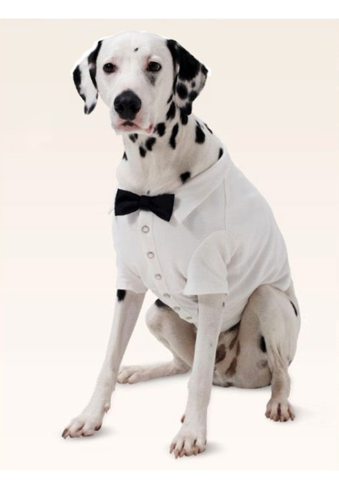 Pattern Blanket-"shirt" for a dog (Burda 2/2015, pattern number 6753 A)