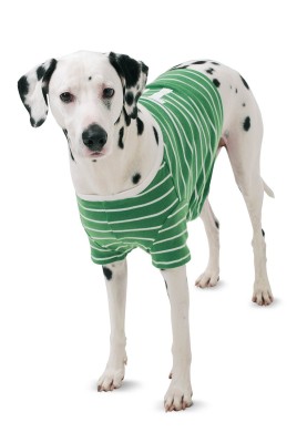 Pattern Blanket-"shirt" for a dog (Burda 2/2015, pattern number 6753 A)