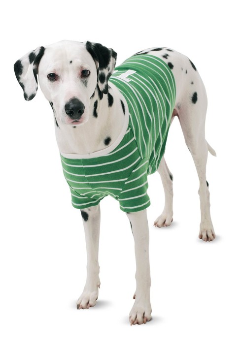 Pattern Blanket-"shirt" for a dog (Burda 2/2015, pattern number 6753 A)