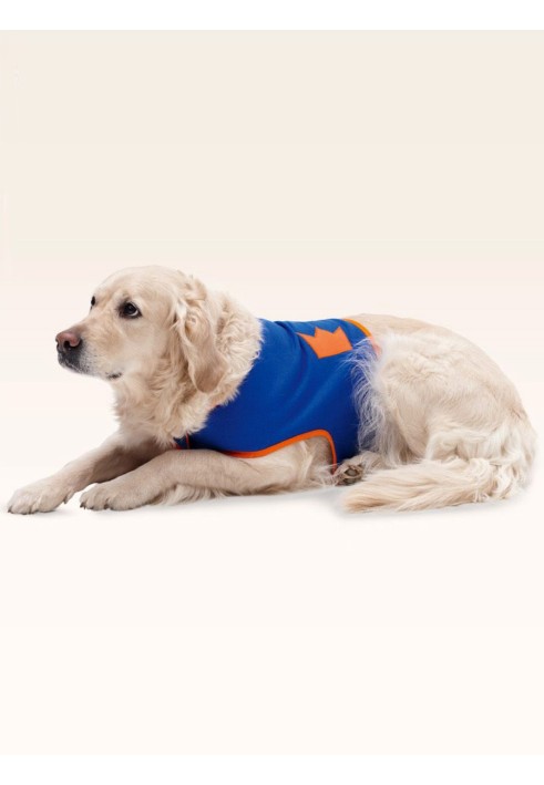 Sporty dog blanket pattern (Burda 2/2015, pattern no. 6753 B)