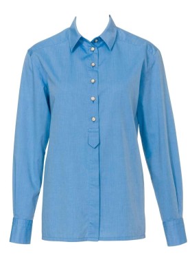 Pattern Blouse-shirt with a pleat on the back (Burda 2/2010, pattern number 106 A)